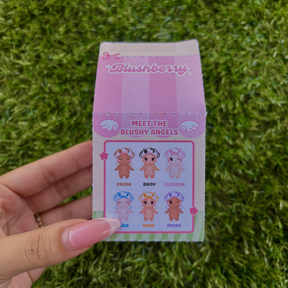 Blushy Angel Mixed Mystery Box