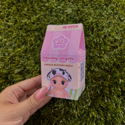 Blushy Angel Mixed Mystery Box